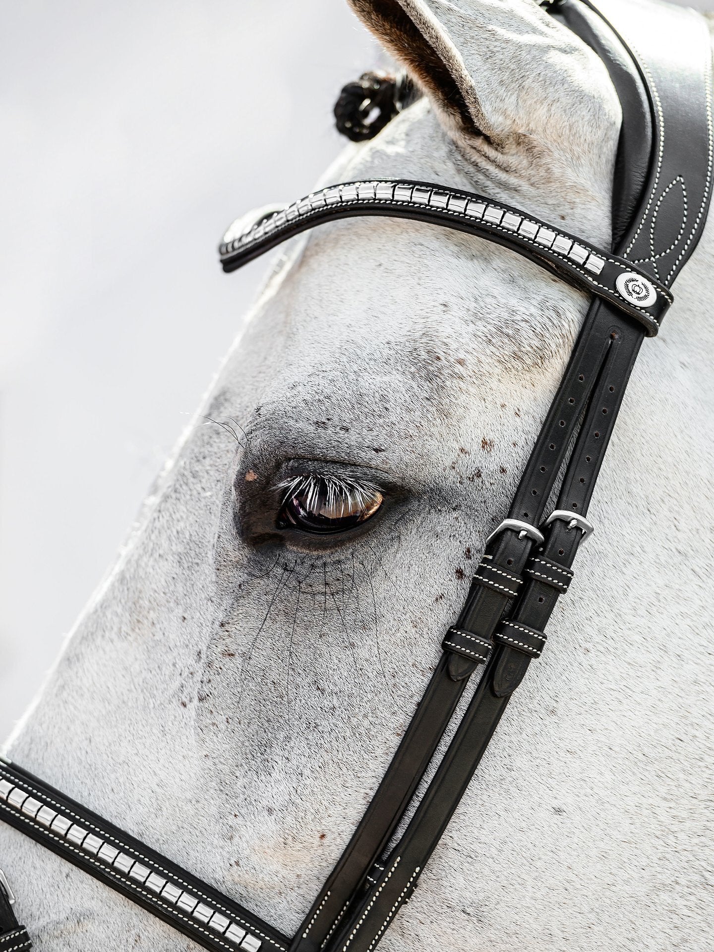 PS of Sweden - Hoofdstel Amsterdam