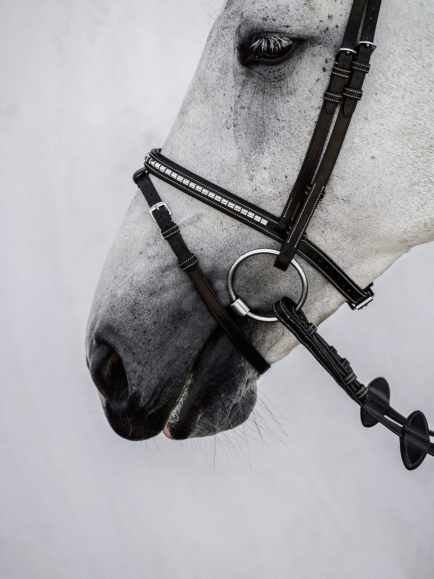 PS of Sweden - Hoofdstel Amsterdam