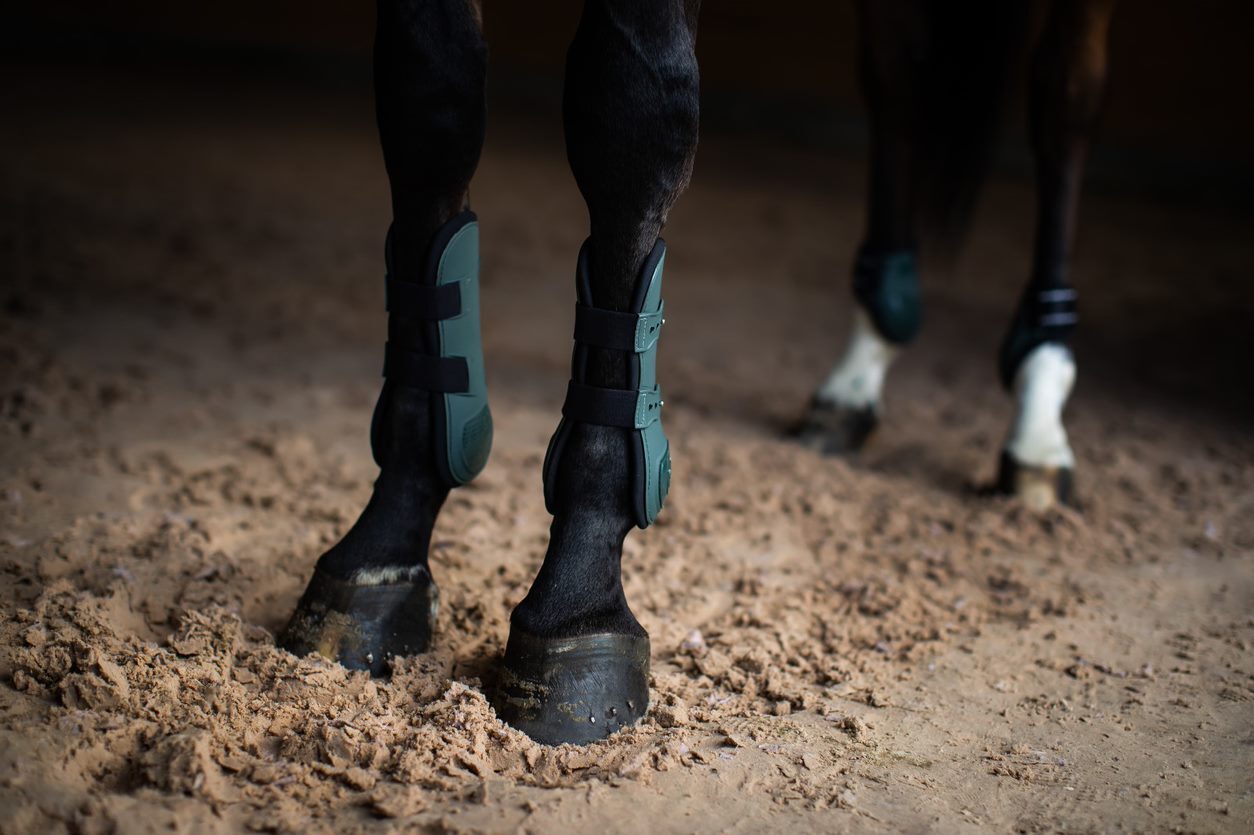 Equestrian Stockholm Anatomic Trendon Boots - Sycamore Green