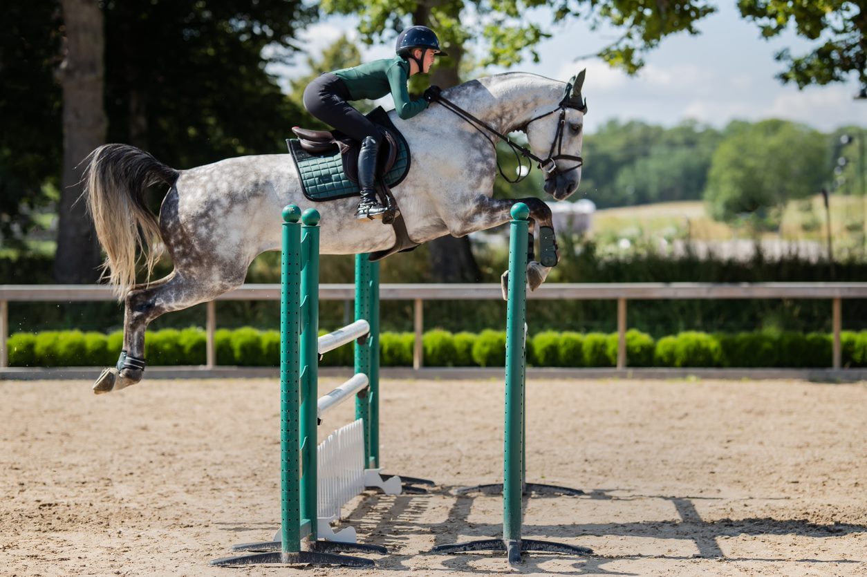 Equestrian Stockholm Anatomic Trendon Boots - Sycamore Green