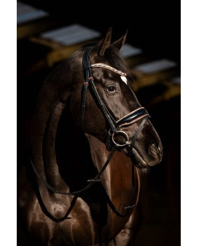 HB Showtime - Copper Sky Hoofdstel Zwart/Full