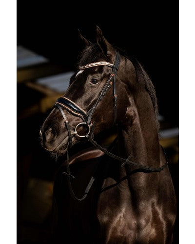 HB Showtime - Copper Sky Hoofdstel Zwart/Full