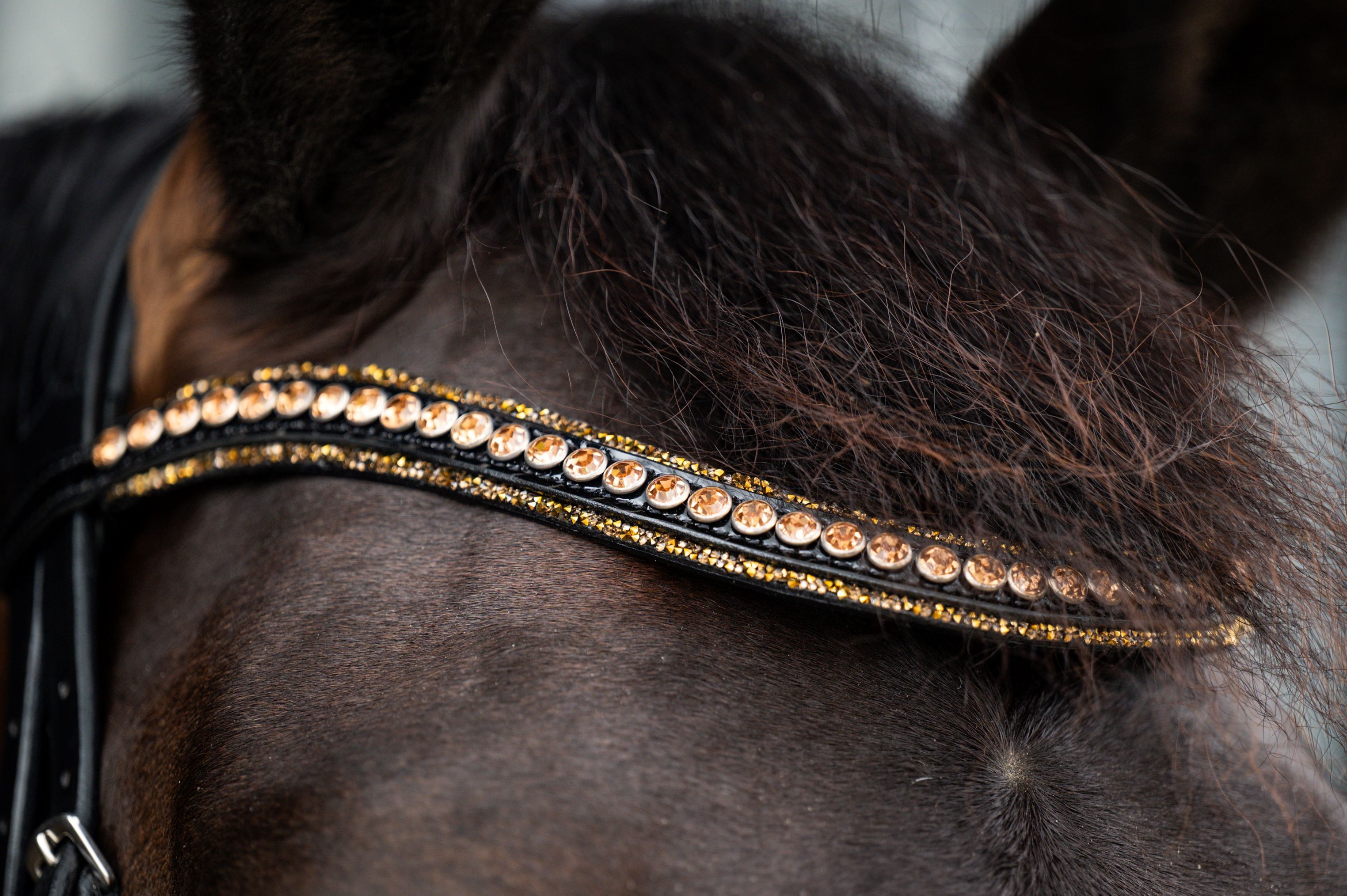 HB Showtime - Hoofdstel Golden Dreams