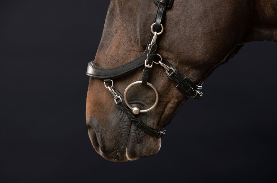 Presteq - Hoofdstel FaySport Zwart