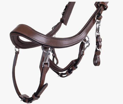 Presteq - Hoofdstel FaySport Bruin