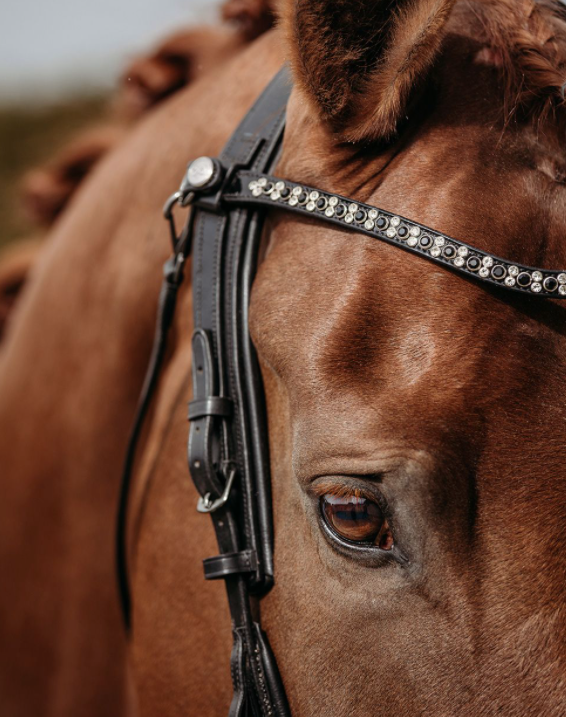 Presteq - Hoofdstel FaySport Glitter Zwart