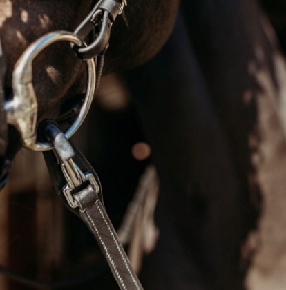 Presteq - Teugel FayRein met clip Brown