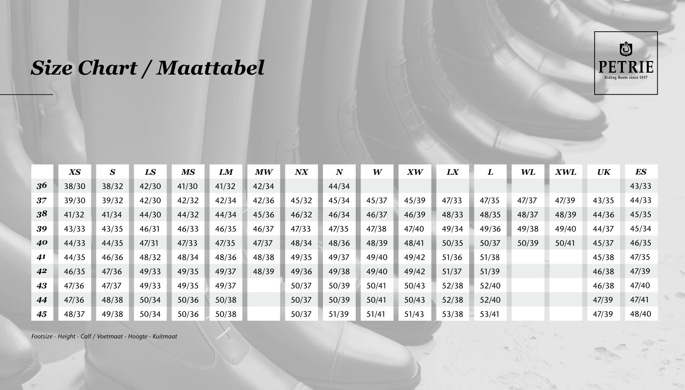 Petrie - Riva Stardust
