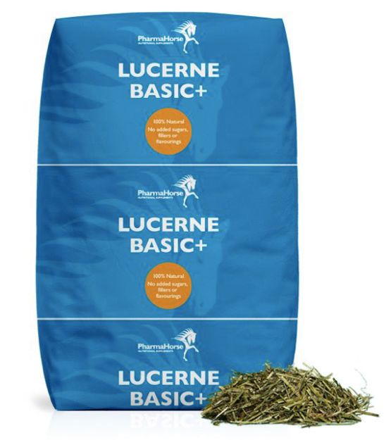 Pharmahorse - Luzerne High protein 10KG