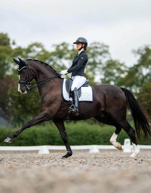 Equestrian Stockholm Dressuur Zadeldekje - Modern White Black
