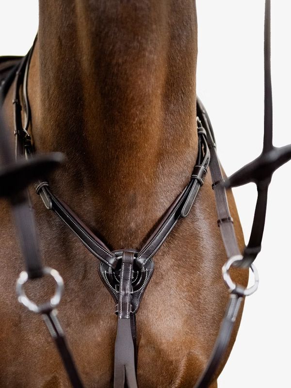 PS of Sweden Martingaal Seoul Bruin