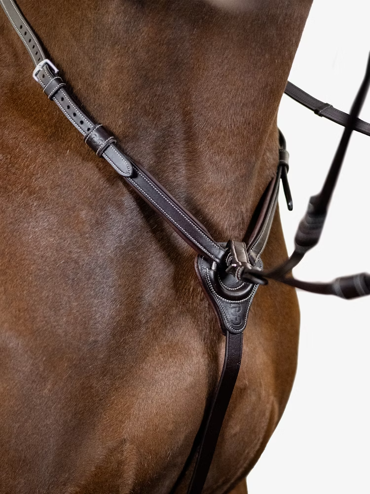 PS of Sweden Martingaal Seoul Bruin