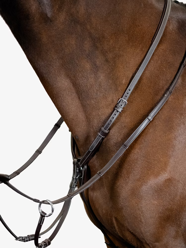 PS of Sweden Martingaal Seoul Bruin