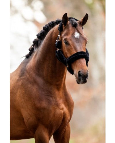 HB Showtime- Rose Gold allround teddy Halster