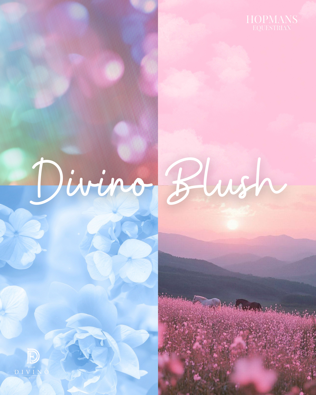 Hopmans Equestrian - Frontriem Divino Blush