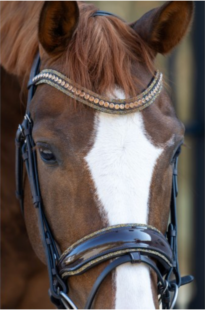 HB Showtime - It is So Special Hoofdstel Bruin/Goud/Full