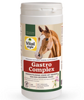 Vitalstyle - Gastrocomplex