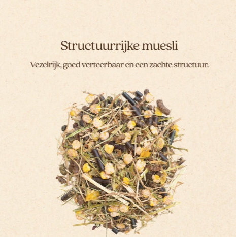 Vitalstyle - Muesli Gut&Gastro