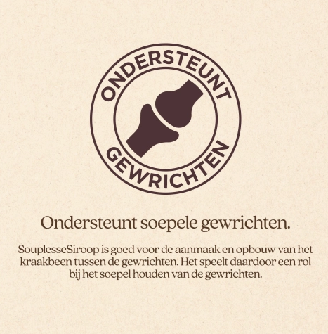 Vitalstyle -Souplessesiroop