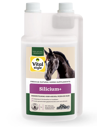 Vitalstyle - Silicium+