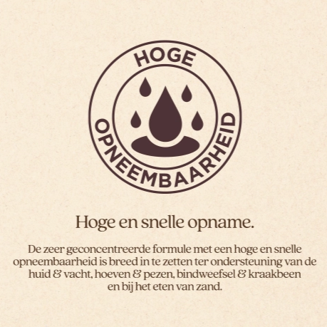 Vitalstyle - Silicium+