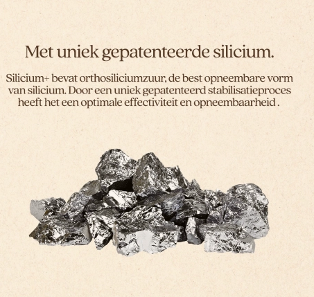 Vitalstyle - Silicium+