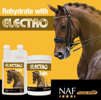 NAF - Electrolytes vloeibaar