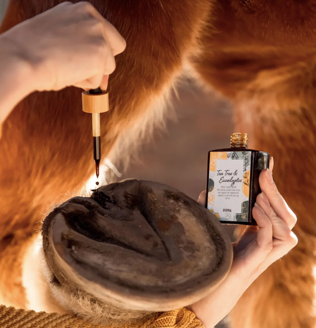Pippa - Tea Tree & Eucalyptus Straal Vloeistof Druppels