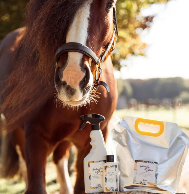 Pippa -  Detangler & Shine Anti-klit Gel