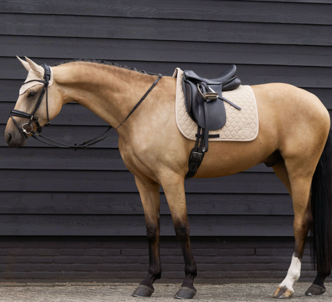 Euro-Star Dressuur Zadeldekje - Coco Beige