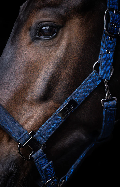 Mrs Ros - Glitter Festive Halster Blauw