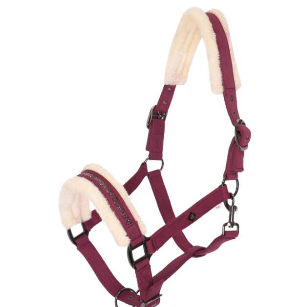Imperial Riding - Halster Bordeaux