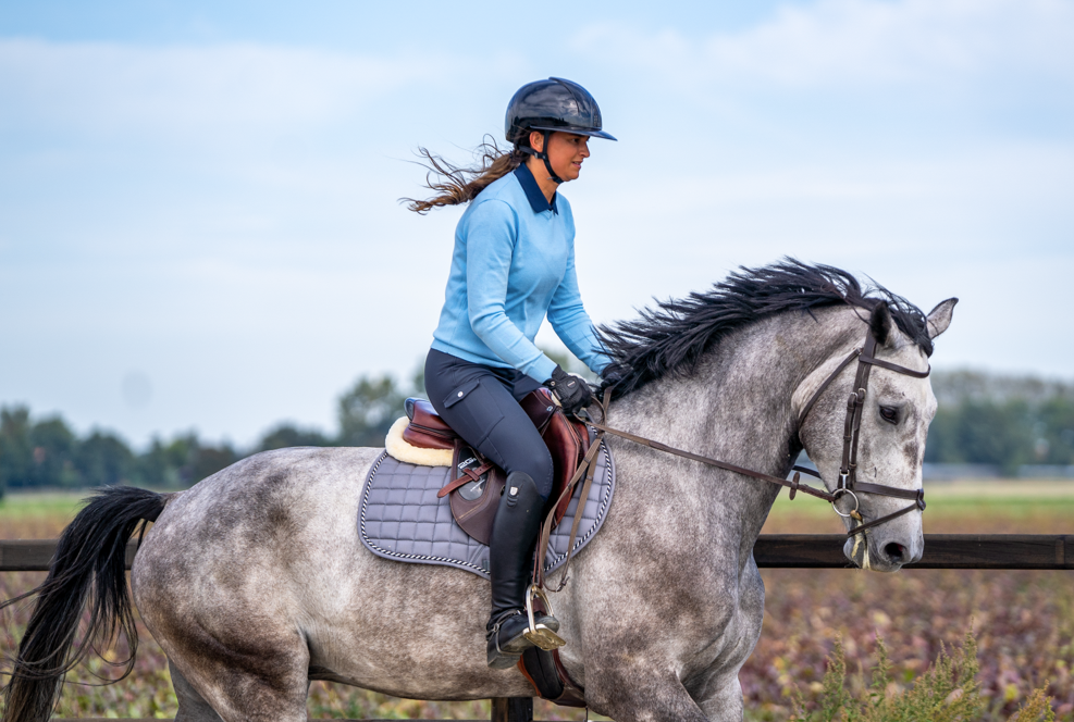 Louis Equestrian - Rijbroek Navy Blue
