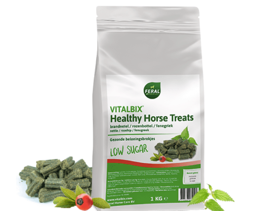 Vitalbix - Healthy Horse Treats Brandnetel