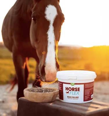Horseflex - Maag Balans