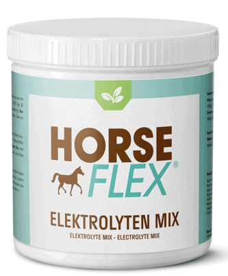 Horseflex - Elektrolyten 500gr