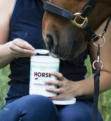Horseflex - Elektrolyten 500gr