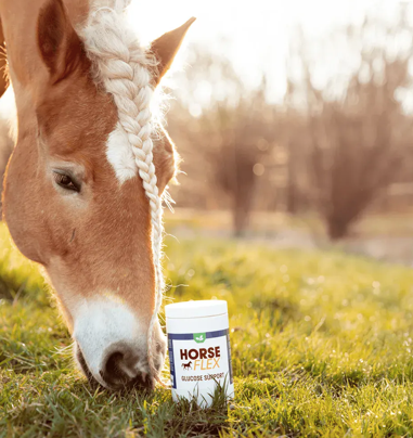 Horseflex - Glucose Support 600gr