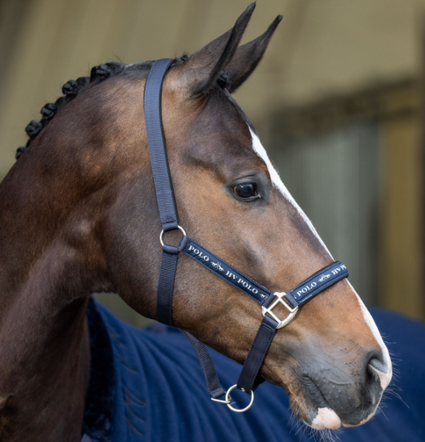 HV Polo - Halster Nena