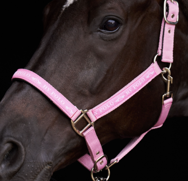 HV Polo - Halster Nena Pretty Pink