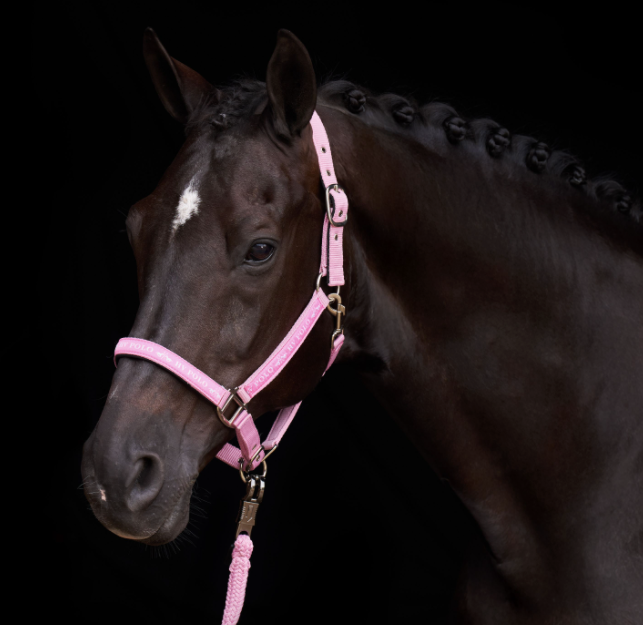 HV Polo - Halster Nena Pretty Pink
