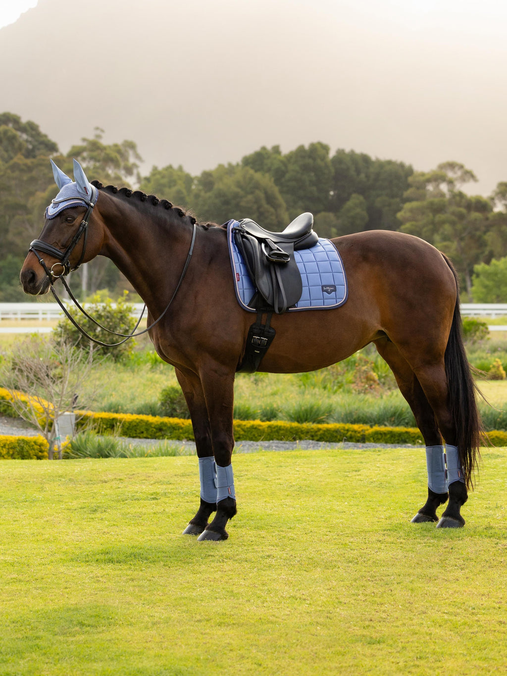 LeMieux - Loire Classic Dressuur Zadeldek Powder Blue