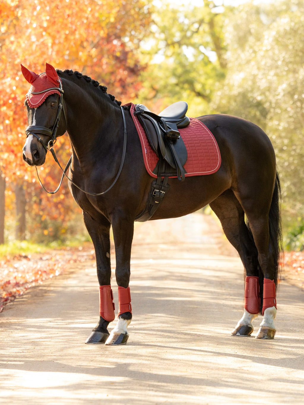 LeMieux - Suède Dressuur zadeldek Russet