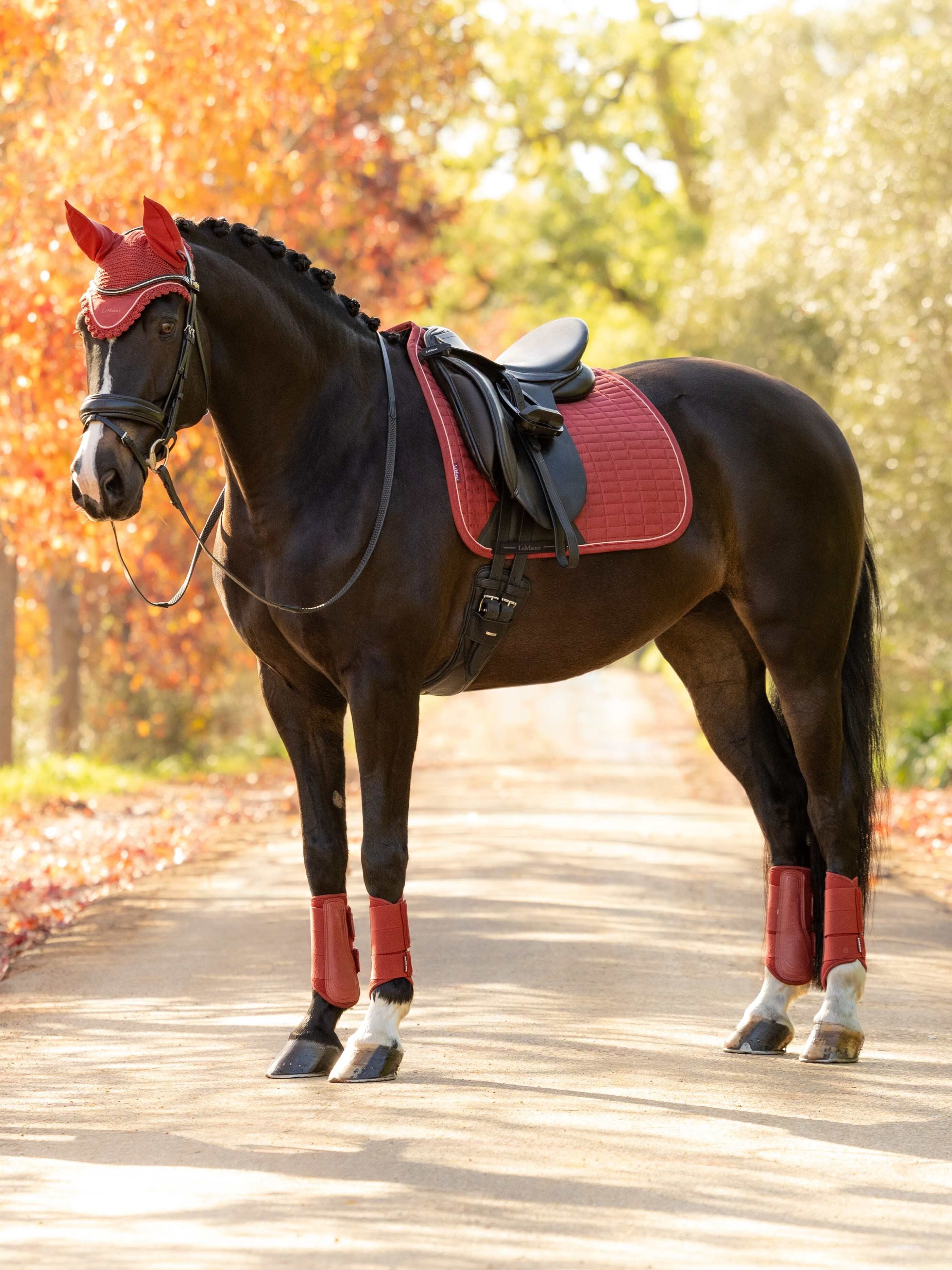 LeMieux - Suède Dressuur zadeldek Russet