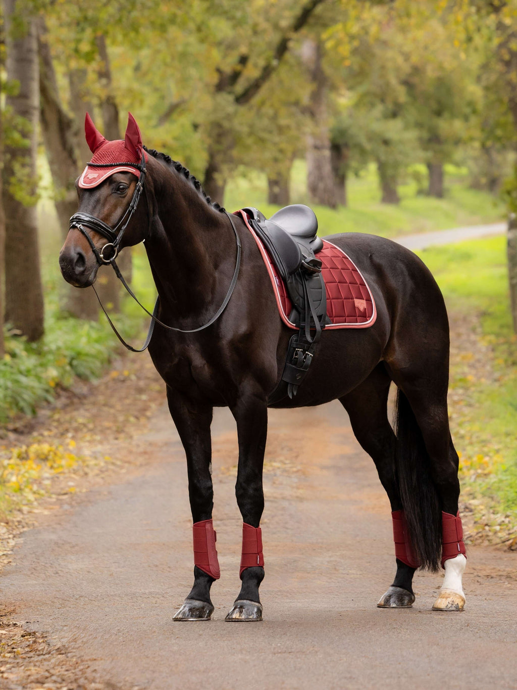 LeMieux - Loire Classic Dressuur Zadeldek Russet