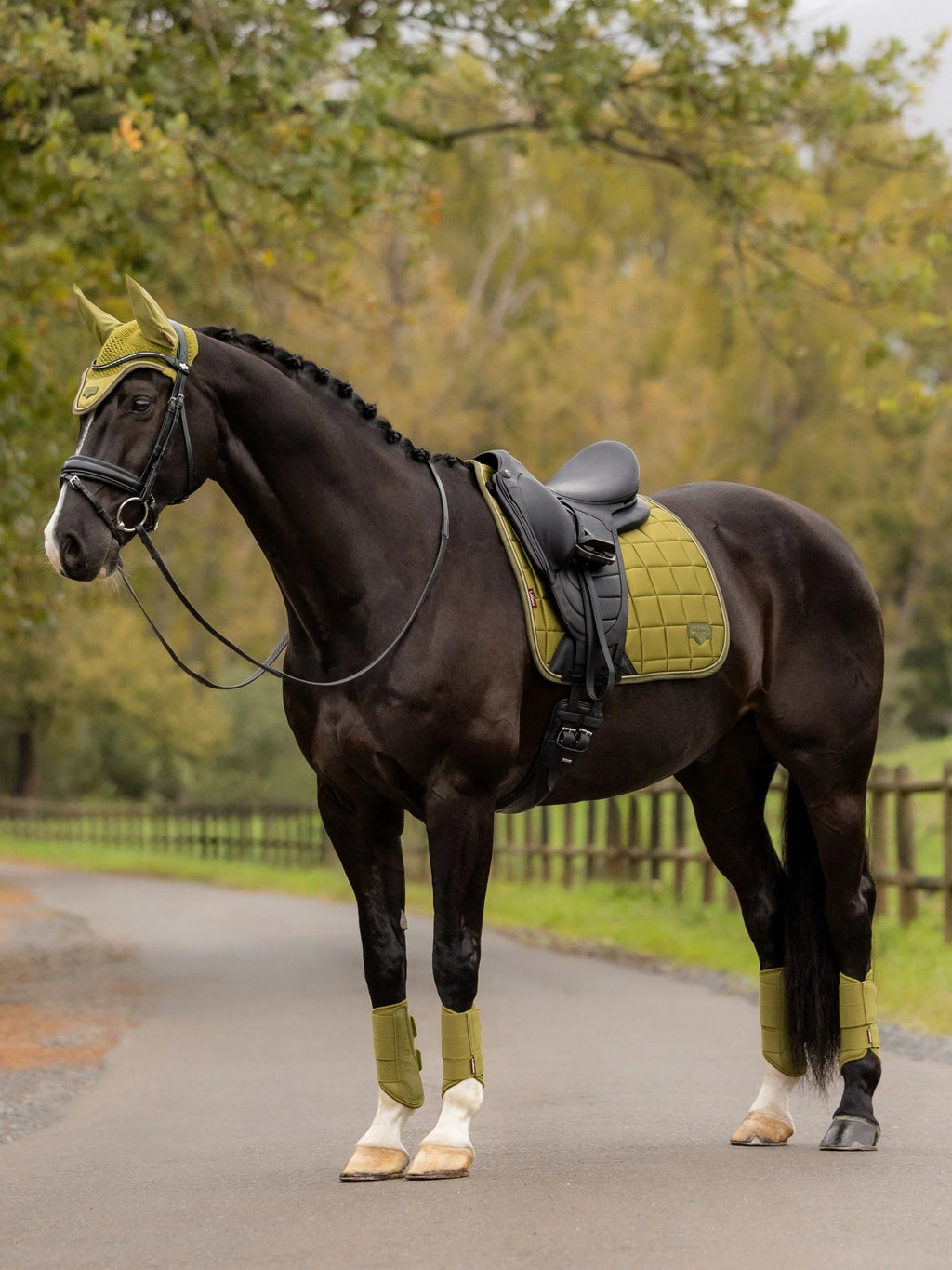 LeMieux - Loire Classic Dressuur Zadeldek Gooseberry