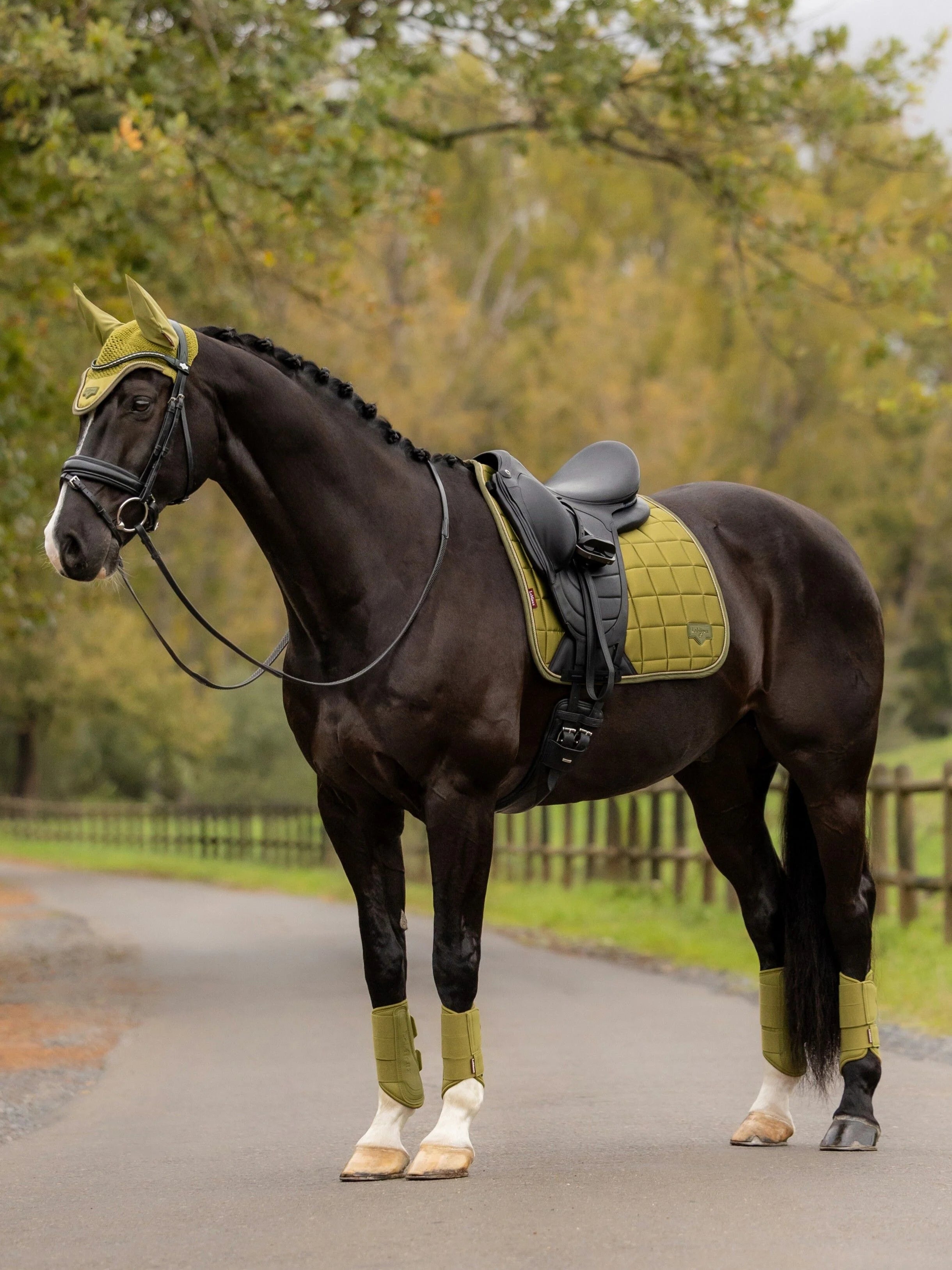 LeMieux - Loire Classic Dressuur Zadeldek Gooseberry