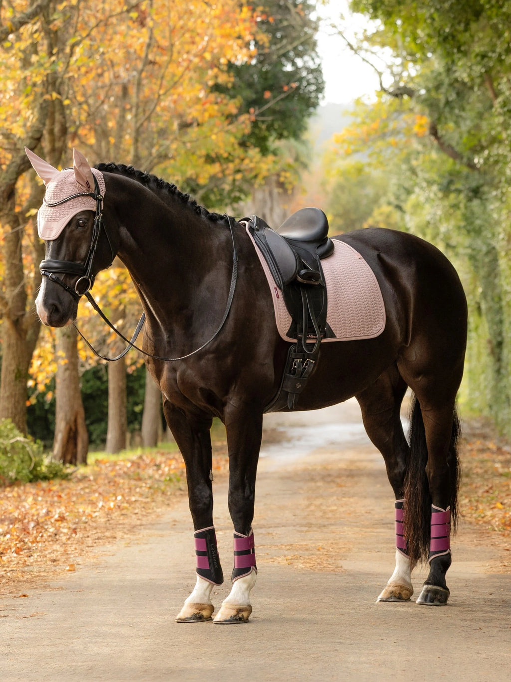 LeMieux - Essence Dressuur Zadeldek Wild Rose