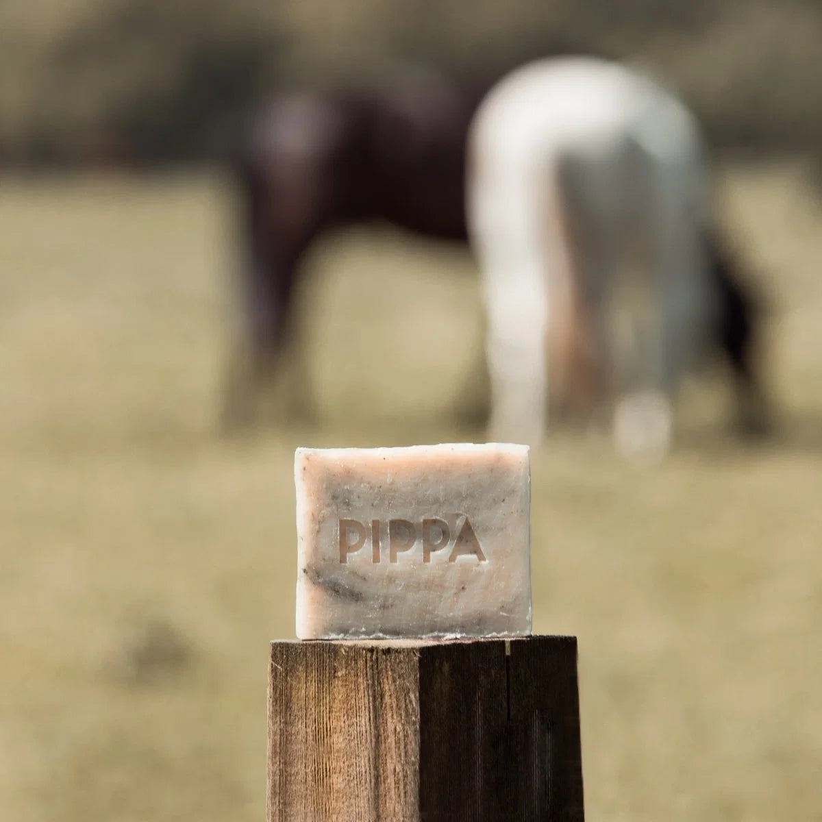 PIPPA Paardenshampoo Tea Tree & Eucalyptus
