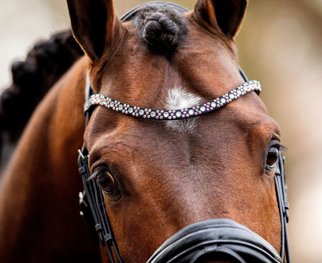 HB Showtime - Hoofdstel Great Love